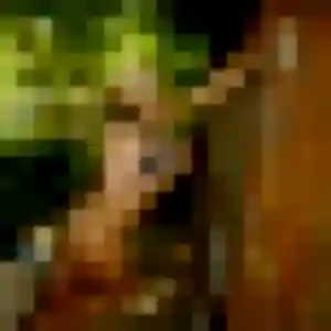 Photo perso de Rose-Marie, 26 ans à Aureilhan - rencontre sans lendemain