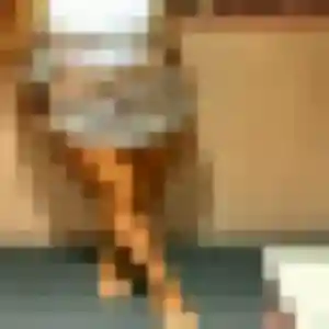Photo exclusive de Oumaima, 44 ans à Balaruc-les-Bains - plan discret