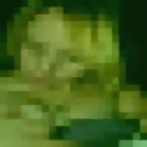 Sofia, 32 ans, cherche un rencontre coquine à Carcassonne