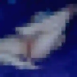 Découvre Candice, 42 ans à Leucate en privé