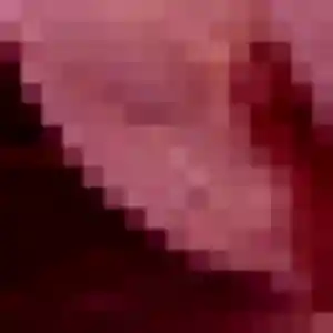 Découvre Prisca, 38 ans à Lisle-sur-Tarn gratuitement