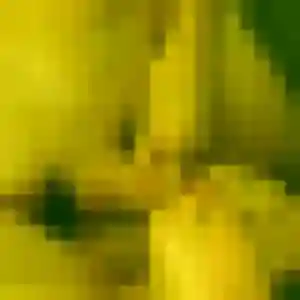 Dounia, 33 ans, connectée à Merville pour un rencontre coquine