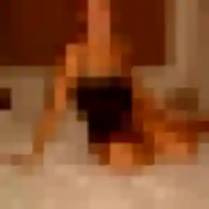 Ursula, 35 ans, disponible à Pibrac pour un rencontre coquine