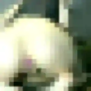 Photo perso de Madeleine, 29 ans à Seysses - rencontre coquine