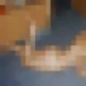 Bernadette (38 ans) à Villemoustaussou propose une rencontre maintenant